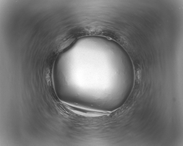 X0000060770963200512011607