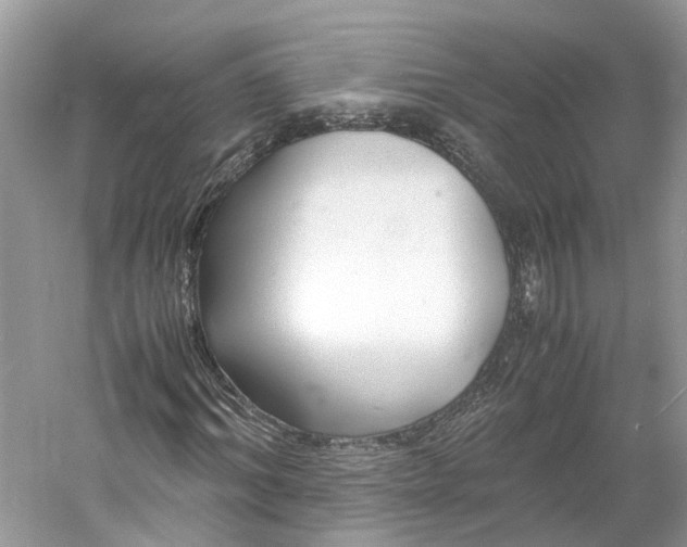 X0000060770964200512011607