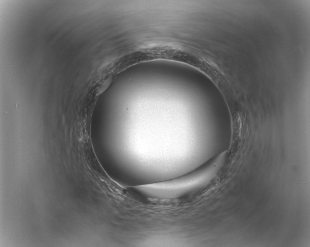 X0000060770965200512011607