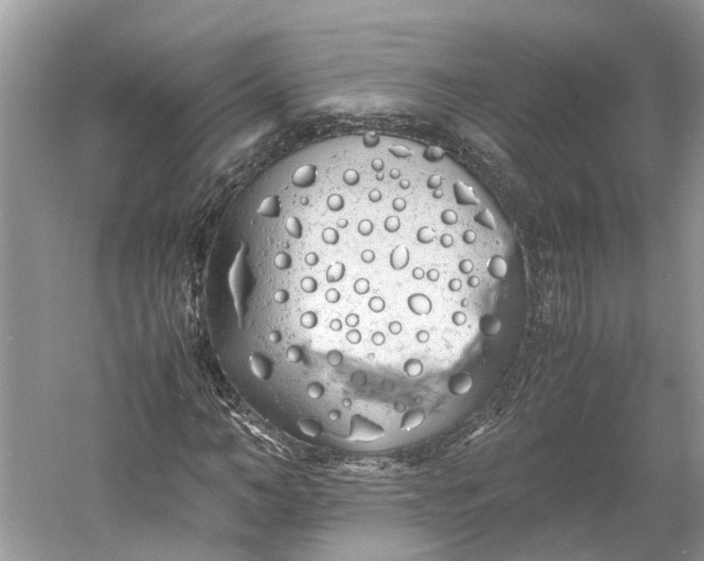 X0000060770966200512011607