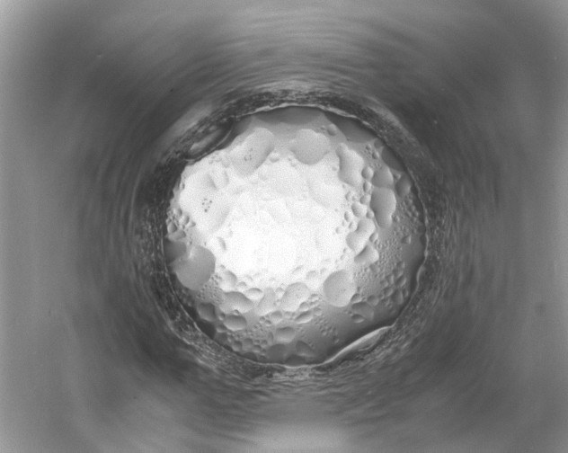 X0000060770967200512011607