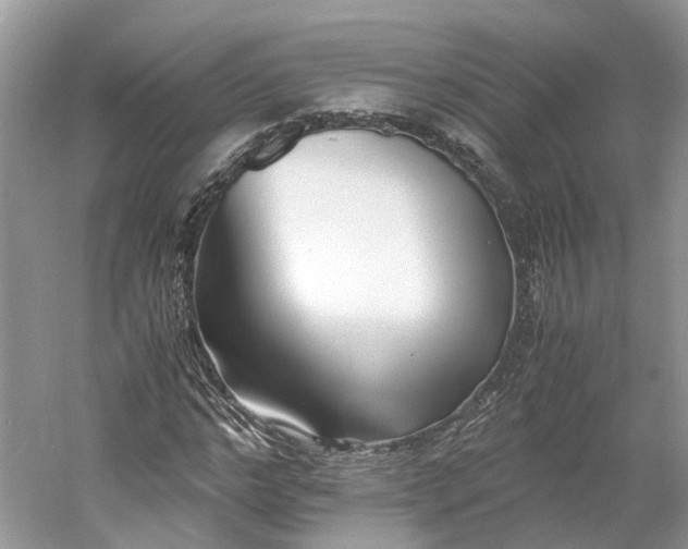 X0000060770968200512011607