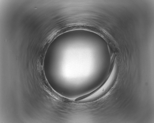 X0000060770969200512011607