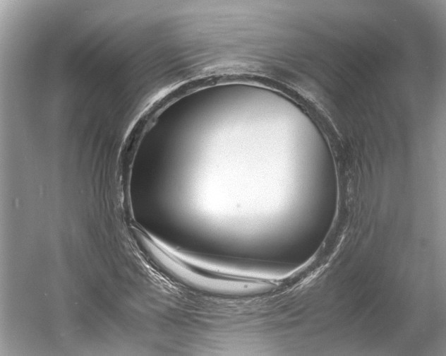 X0000060770973200512011607