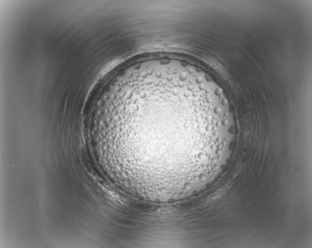 X0000060770974200512011607