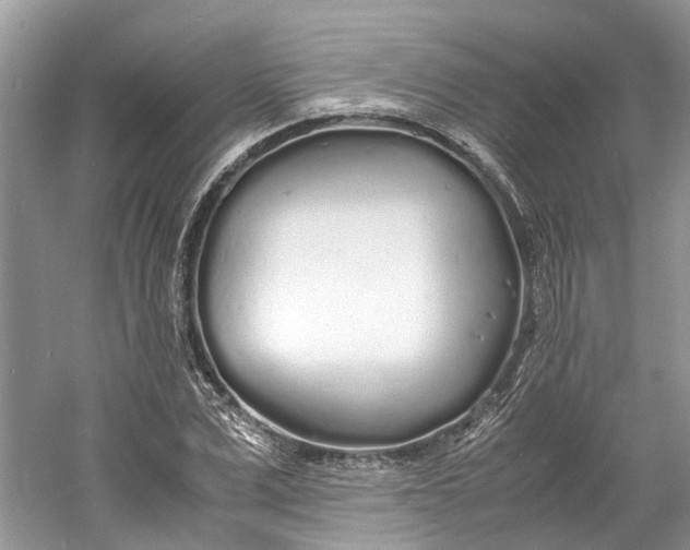 X0000060770975200512011607