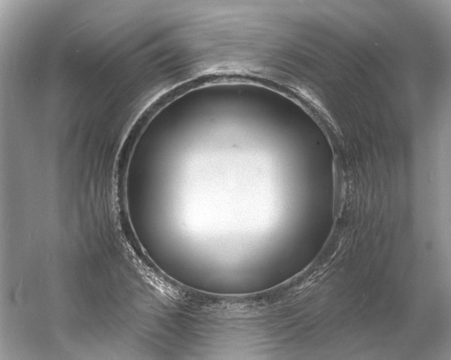 X0000060770976200512011607