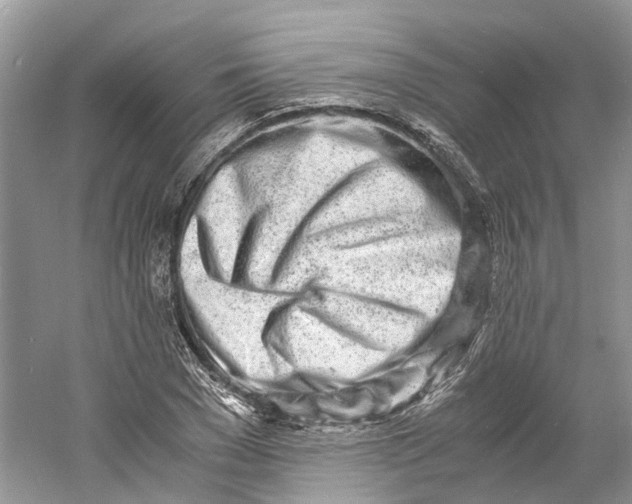 X0000060770977200512011607