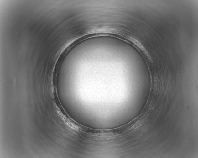 X0000060770980200512011607