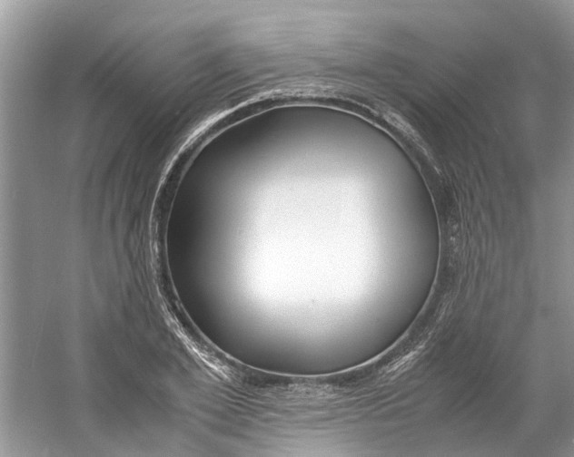 X0000060770981200512011607