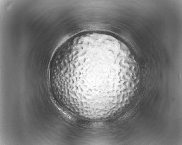 X0000060770982200512011607