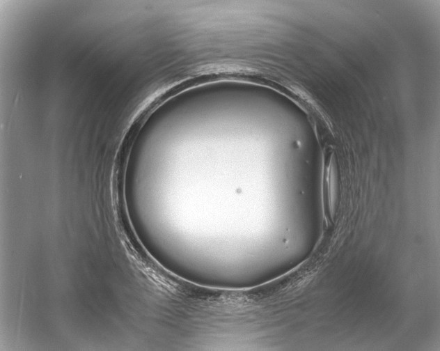 X0000060770983200512011607