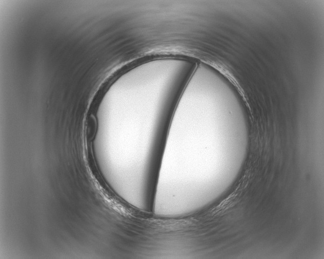 X0000060770984200512011607