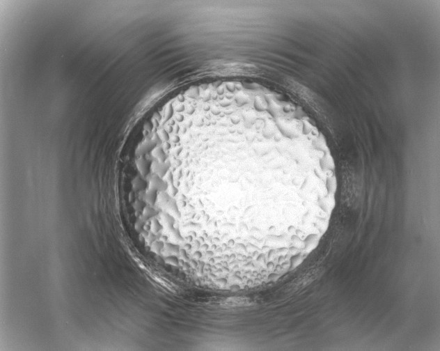 X0000060770986200512011607