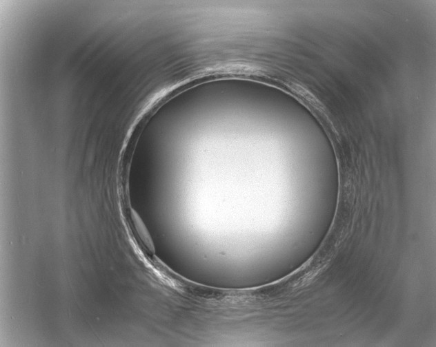 X0000060770989200512011607