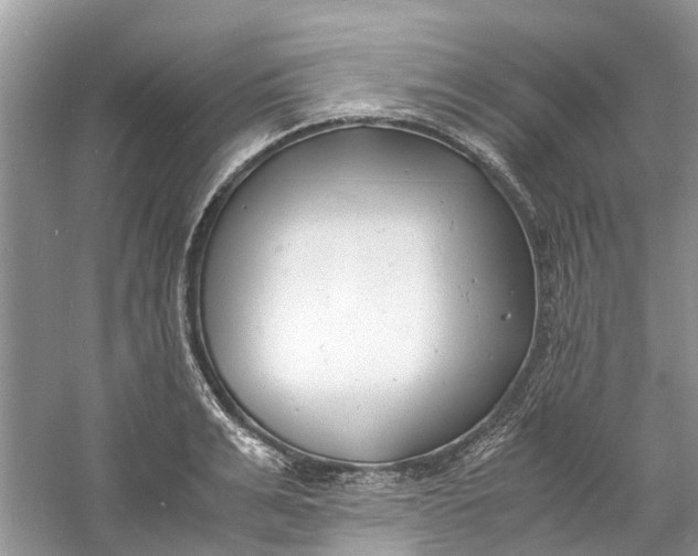 X0000060770991200512011607