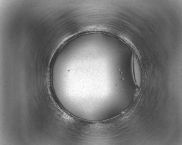 X0000060770992200512011607