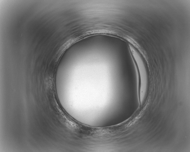 X0000060770993200512011607