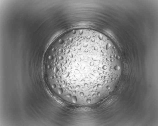 X0000060770994200512011607