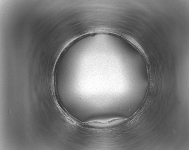 X0000060770996200512011607