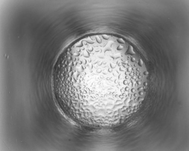 X0000060770998200512011607