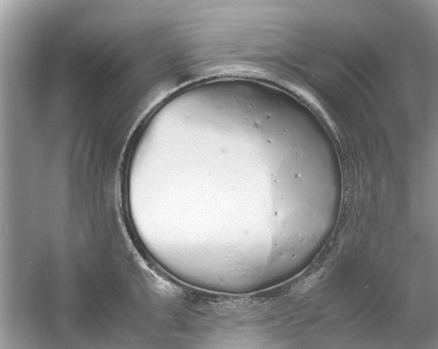 X0000060770999200512011607