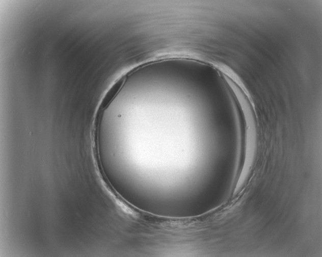 X0000060771005200512011607