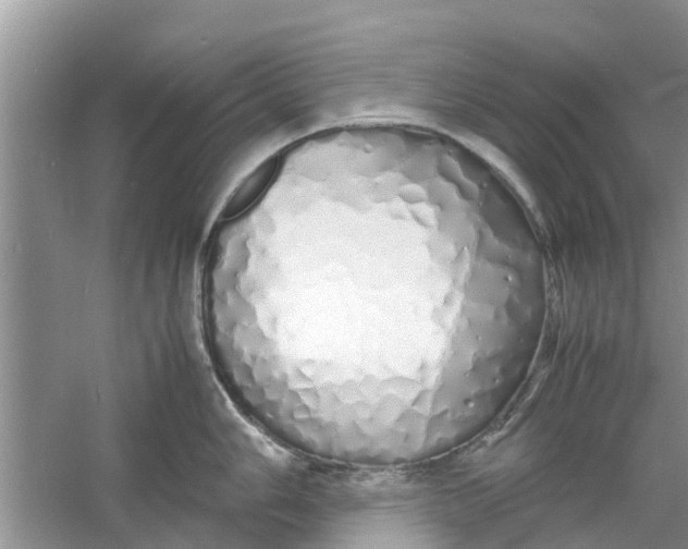 X0000060771006200512011607