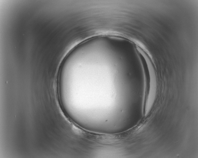 X0000060771007200512011606