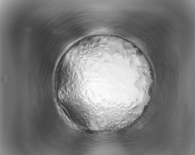 X0000060771008200512011606