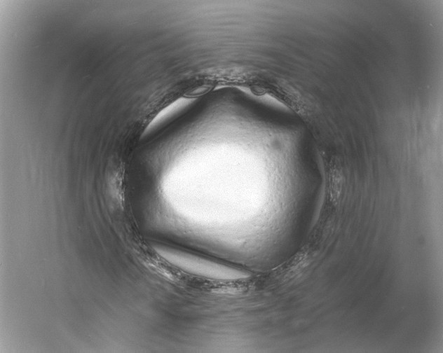 X0000060771010200512011606