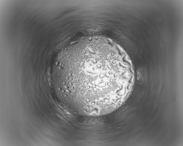 X0000060771011200512011606