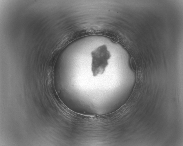 X0000060771012200512011606