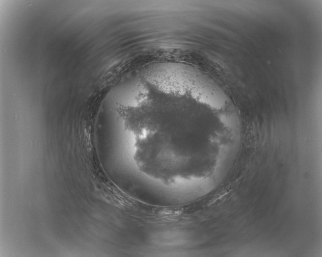 X0000060771013200512011606