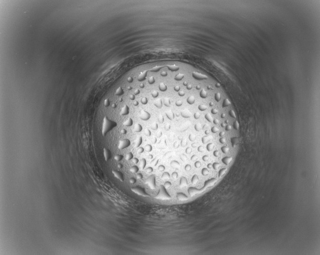 X0000060771015200512011606