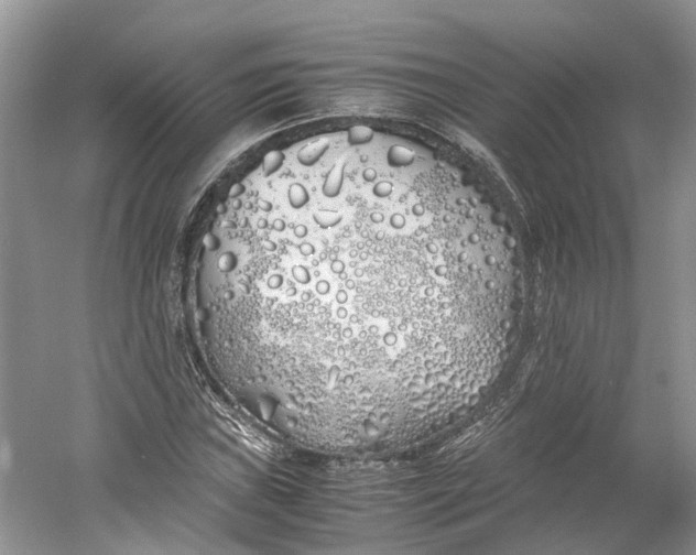 X0000060771019200512011606