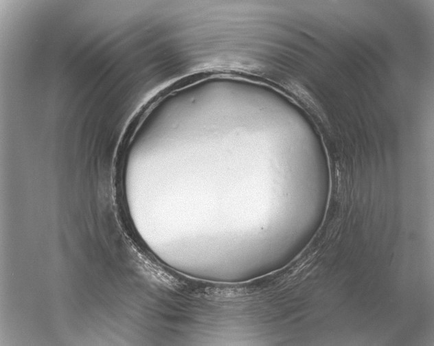 X0000060771020200512011606