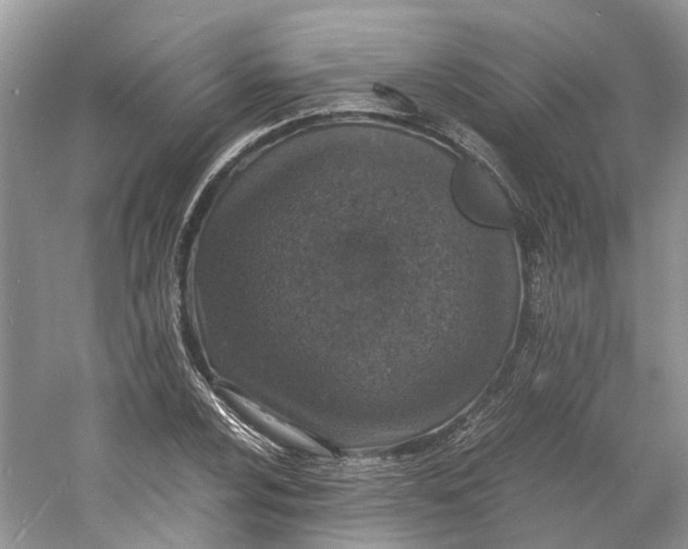 X0000060771024200512011606