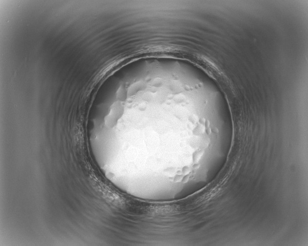 X0000060771025200512011606