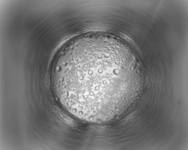 X0000060771027200512011606