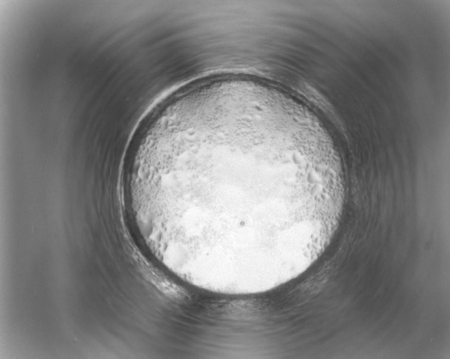 X0000060771028200512011606