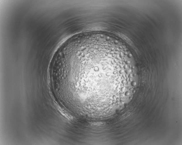 X0000060771031200512011606