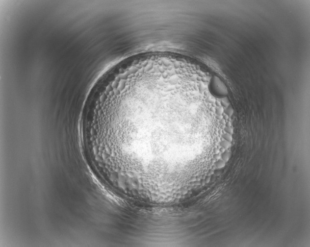 X0000060771032200512011606