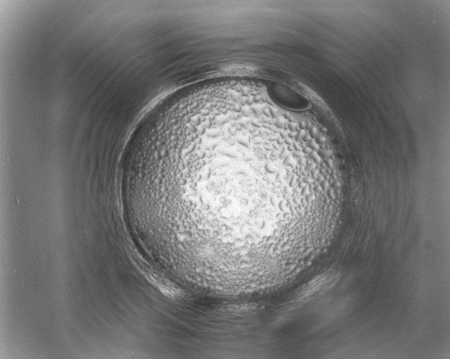 X0000060771035200512011606