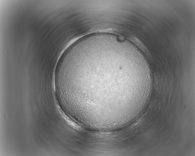 X0000060771036200512011606