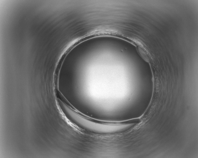 X0000060771038200512011606