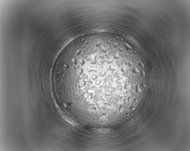 X0000060771039200512011606