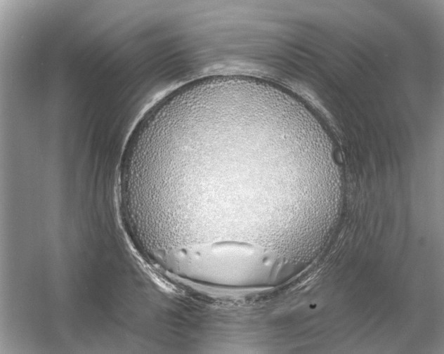 X0000060771040200512011606