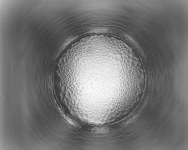 X0000060771041200512011606