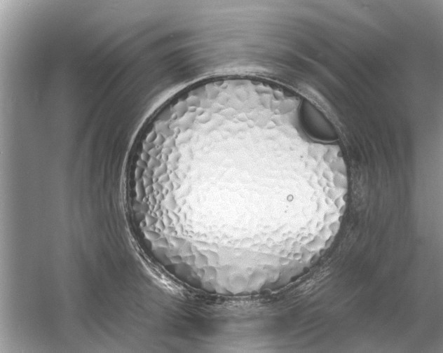 X0000060771044200512011606